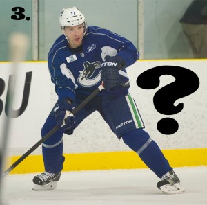 Is Radim Vrbata the scoring punch that Alex Burrows failed to provide last year? Richard Lam/PNG photo stolen blatantly from a lazy online search.