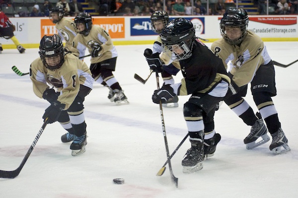 Kennedy might be on to something when he says the TimBits hockey at intermission is one of the most enjoyable aspects of the game. I mean, how do you not love this stuff? Photo by Jason Kurylo for Pucked in the Head.