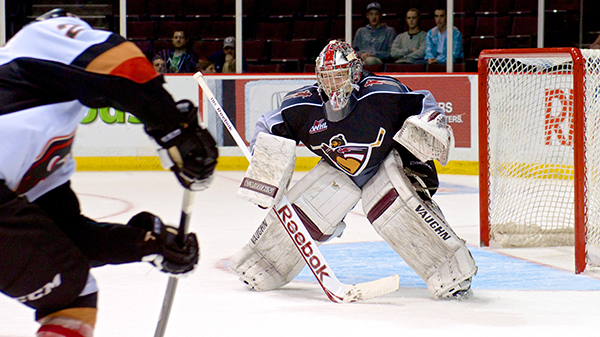 Payton Lee collected his third win of the year with a 4-3 overtime decision over the Calgary Hitmen. Photo by Jason Kurylo for Pucked in the Head.