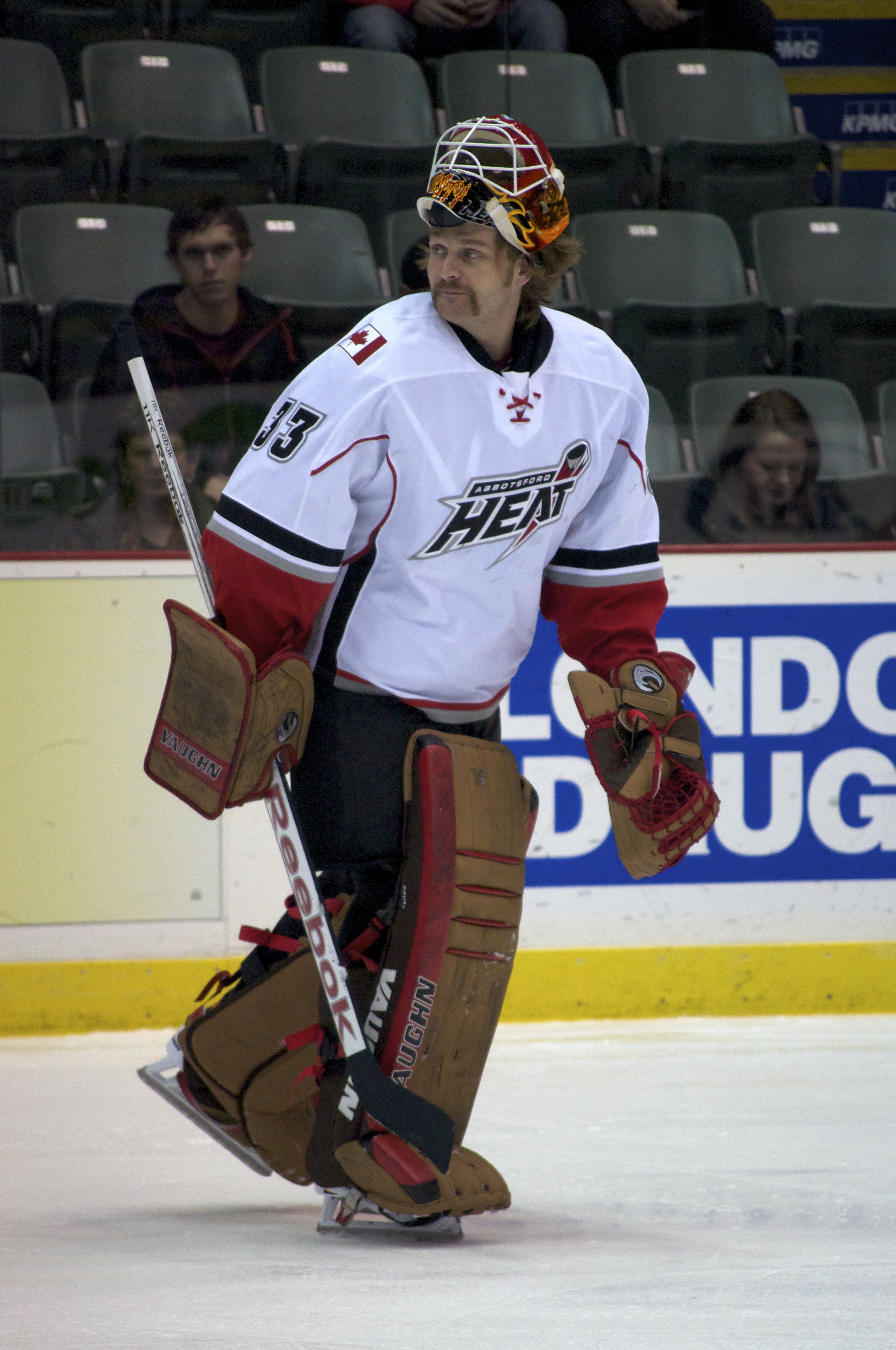 Hamilton Bulldogs: Looking Forward to the 2012-13 AHL Season and