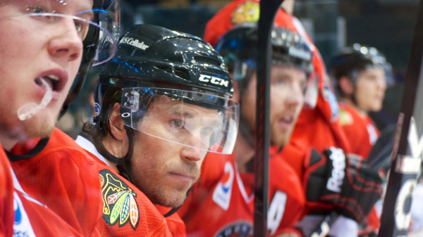 Steve Montador sits on the Rockford Ice Hogs bench during the final period of his third game back from concussion. Photo by Jason Kurylo for Pucked in the Head.