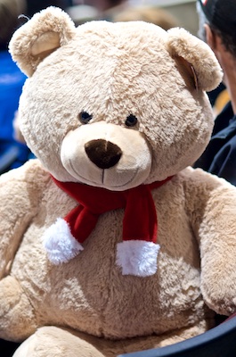 One of hundreds of stuffed animals that hit the ice when Jackson Houck scored at 2:18 of the third period. Photo by Jason Kurylo for Pucked in the head.