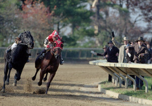 Spoiler alert: Seabiscuit wins a bunch of horse races.