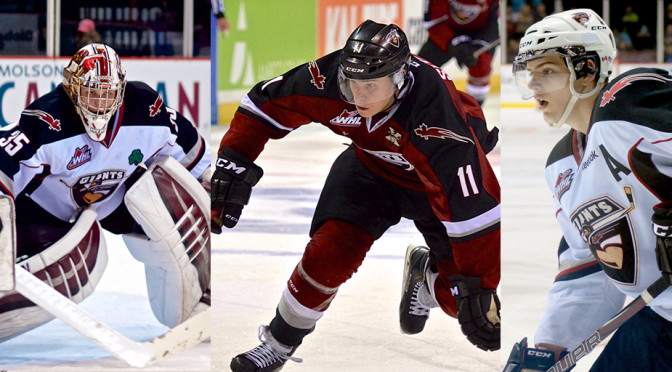 Cody Porter, Jakob Stukel and Jackson Houck were traded to the Calgary Hitmen on Tuesday. Photos by Jason Kurylo for Pucked in the Head.